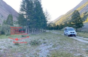 Пьяный сельчанин ночью сбил туристку из Волгоградской области