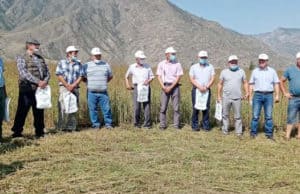 Онгудайские фермеры обсудили развитие кормопроизводства в среднегорье