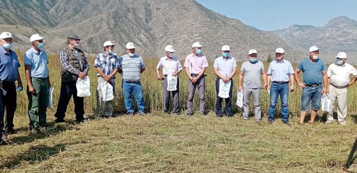 Онгудайские фермеры обсудили развитие кормопроизводства в среднегорье