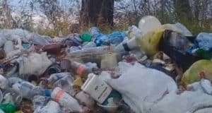 Воз мусора… и вывоз? Воз мусора… и вывоз?