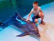 Мечты сбываются! Ребенок из Шебалинского района побывал на море и пообщался с дельфинами Мечты сбываются! Ребенок из Шебалинского района побывал на море и пообщался с дельфинами