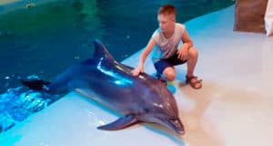 Мечты сбываются! Ребенок из Шебалинского района побывал на море и пообщался с дельфинами