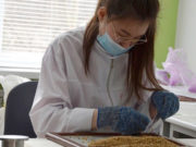 Коллектив Россельхозбанка на Алтае поддержал финалиста WorldSkills Коллектив Россельхозбанка на Алтае поддержал финалиста WorldSkills