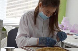 Коллектив Россельхозбанка на Алтае поддержал финалиста WorldSkills Коллектив Россельхозбанка на Алтае поддержал финалиста WorldSkills