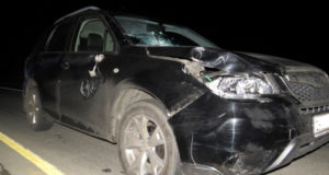 В Курайской степи под колесами автомобиля погиб пешеход В Курайской степи погиб пешеход