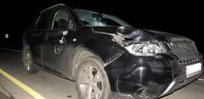 В Курайской степи под колесами автомобиля погиб пешеход