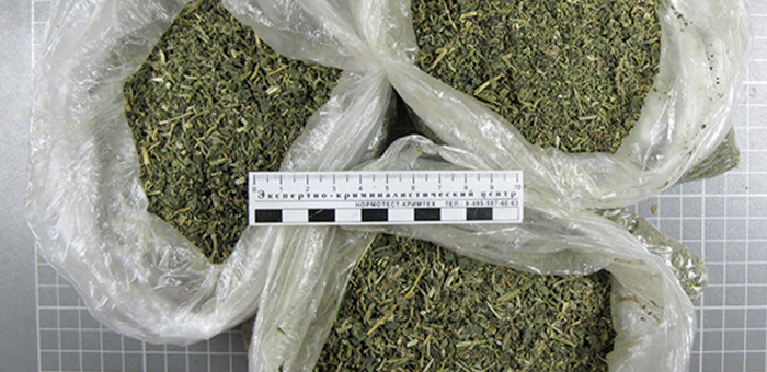Более 9 кг марихуаны и гашишное масло хранил у себя в доме житель Усть-Коксы