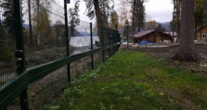 Суд обязал снести 530-метровый забор у берегов Телецкого озера