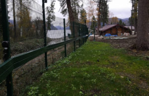 Суд обязал снести 530-метровый забор у берегов Телецкого озера Суд обязал снести 530-метровый забор у берегов Телецкого озера