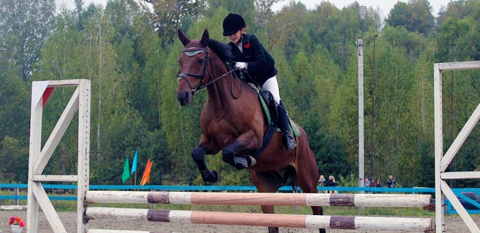 Соревнования по конному спорту прошли в Горно-Алтайске в День города