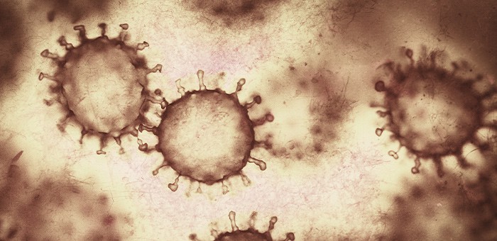 Сводка по коронавирусу за неделю: 197 заболевших, 13 человек скончались