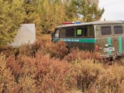 Добытчиков «золотого корня», пытавшихся удрать от пограничников, арестовали на десять суток Добытчиков «золотого корня», пытавшихся удрать от пограничников, арестовали на десять суток