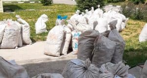 Суд наказал жителей Усть-Коксинского района, незаконно добывших 10 тонн «золотого корня» Суд наказал жителей Усть-Коксинского района, незаконно добывших 10 тонн «золотого корня»