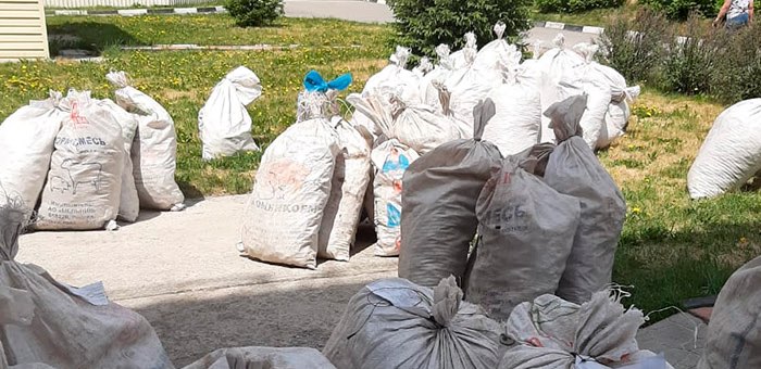 Суд наказал жителей Усть-Коксинского района, незаконно добывших 10 тонн «золотого корня»