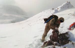 В окрестностях ледника Ак-Тру расставили фотоловушки на снежного барса