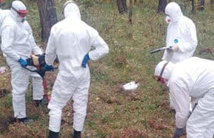 В Узнезе искали сибирскую язву, но, к счастью, не нашли