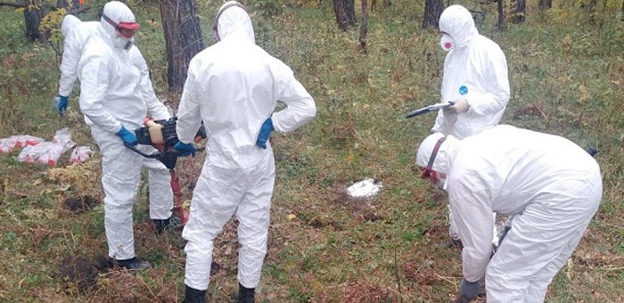 В Узнезе искали сибирскую язву, и, к счастью, не нашли