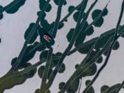 Россиянин стал финалистом международного конкурса с фотографией заснеженного озера в Горном Алтае Россиянин стал финалистом международного конкурса с фотографией заснеженного озера в Горном Алтае