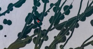 Россиянин стал финалистом международного конкурса с фотографией заснеженного озера в Горном Алтае Россиянин стал финалистом международного конкурса с фотографией заснеженного озера в Горном Алтае