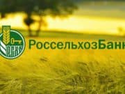 Россельхозбанк выдал 92% средств на сезонные работы аграриев Алтая на льготных условиях