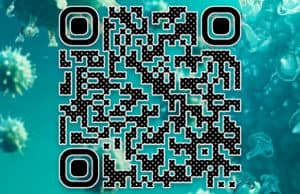 Что такое QR-код и как его получить? Что такое QR-код и как его получить?