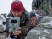 В природном парке «Ак Чолушпа» установлены фотоловушки на снежного барса В природном парке «Ак Чолушпа» установлены фотоловушки на снежного барса
