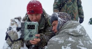 В природном парке «Ак Чолушпа» установлены фотоловушки на снежного барса