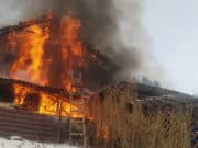 На питомнике при пожаре погибли три человека На питомнике при пожаре погибли три человека