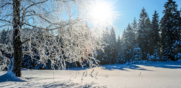Прогноз погоды: на Алтае ожидаются слабые морозы без осадков