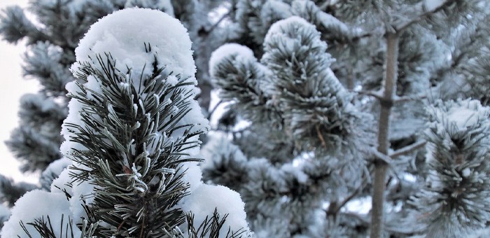 В Республике Алтай ожидается снегопад и похолодание