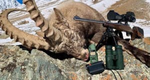 Спасти козерогов. Вроде бы все за, но окончательное решение примут после опроса населения