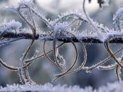Аномальные морозы ожидаются на Алтае