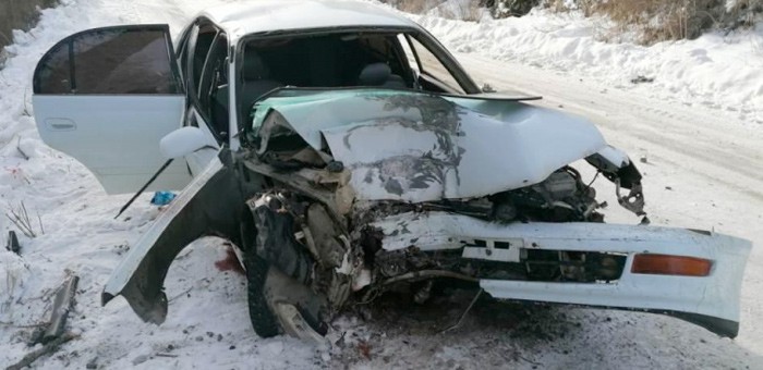 В Усть-Коксинском районе нетрезвый водитель без прав врезался в дерево