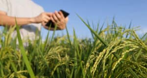 Россельхозбанк пополнил экосистему Своё Фермерство комплексным цифровым ресурсом для животноводов