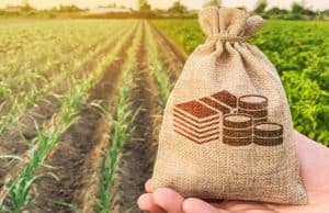 Более 40 млн рублей направят на гранты «Агростартап» в 2022 году Более 40 млн рублей направят на гранты «Аростартап» в 2022 году