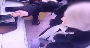 Старушка прикарманила смартфон, забытый в здании автовокзала Старушка прикарманила смартфон, забытый в здании автовокзала