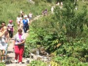 В прошлом году турпоток в Горный Алтай незначительно снизился