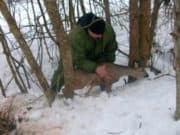 Две косули попались в петли, расставленные жителем Урлу-Аспака Две косули попались в петли, расставленные жителем Урлу-Аспака