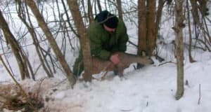 Две косули попались в петли, расставленные жителем Урлу-Аспака Две косули попались в петли, расставленные жителем Урлу-Аспака