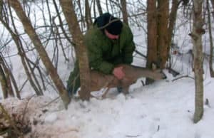 Две косули попались в петли, расставленные жителем Урлу-Аспака Две косули попались в петли, расставленные жителем Урлу-Аспака