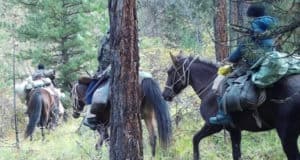 Фотоловушки помогли обнаружить участников незаконной охоты Фотоловушки помогли обнаружить участников незаконной охоты