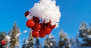 Прогноз погоды: начиная с понедельника станет холоднее Прогноз погоды: начиная с понедельника станет холоднее