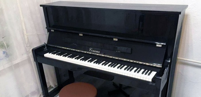 Семь детских школ искусств республики получили новые пианино