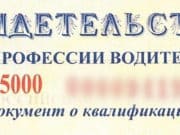 В Усть-Кане будут судить местного жителя за подкуп начальника автошколы