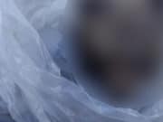 Тушу медведя обнаружили полицейские во время обыска по другому делу Тушу медведя обнаружили полицейские во время обыска по другому делу