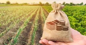 Минсельхоз принимает заявки от кооперативов на предоставление субсидий