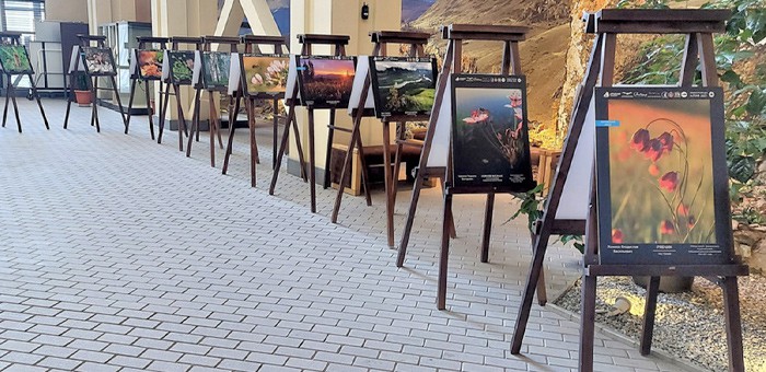 Выставка «Живая природа Алтая» открылась в Национальном музее