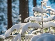 Прогноз погоды: после двух теплых дней ожидается снег и похолодание