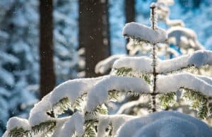 Прогноз погоды: после двух теплых дней ожидается снег и похолодание Прогноз погоды: после двух теплых дней ожидается снег и похолодание