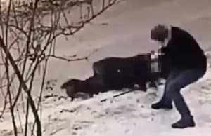 Житель Республики Алтай ограбил в Бийске на 70-летнего пенсионера